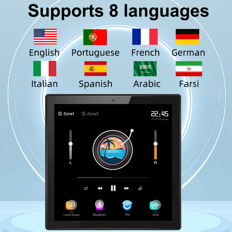 2 bölgeli ses duvar amplifikat - Audio Music Background incelemesi ve fiyatı