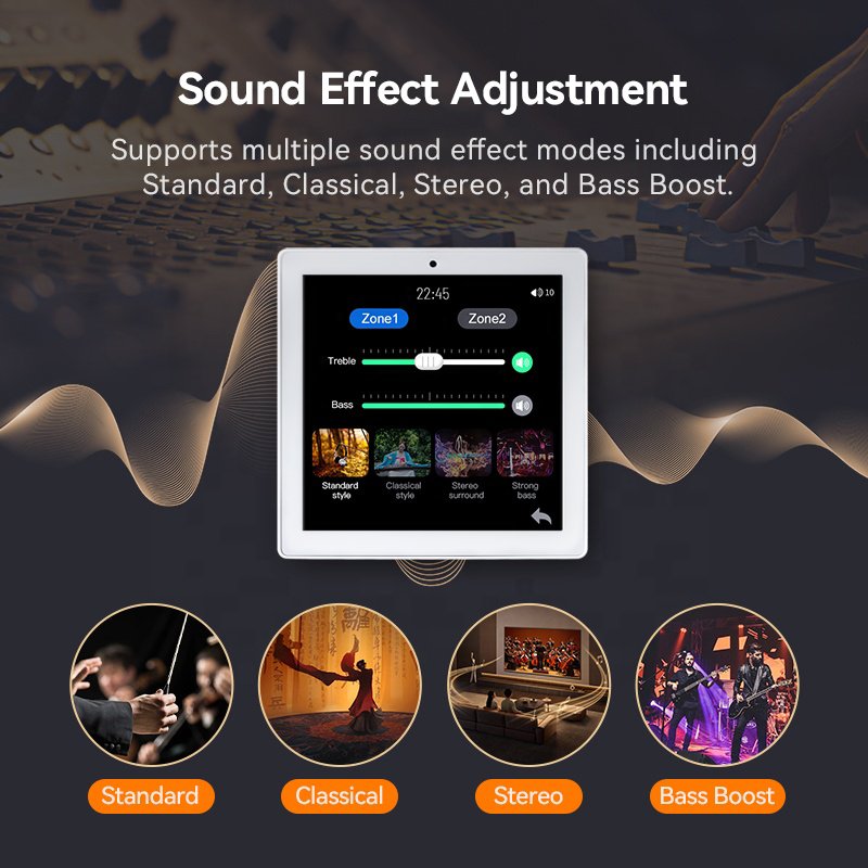 2 bölgeli ses duvar amplifikat - Audio Music Background incelemesi ve fiyatı