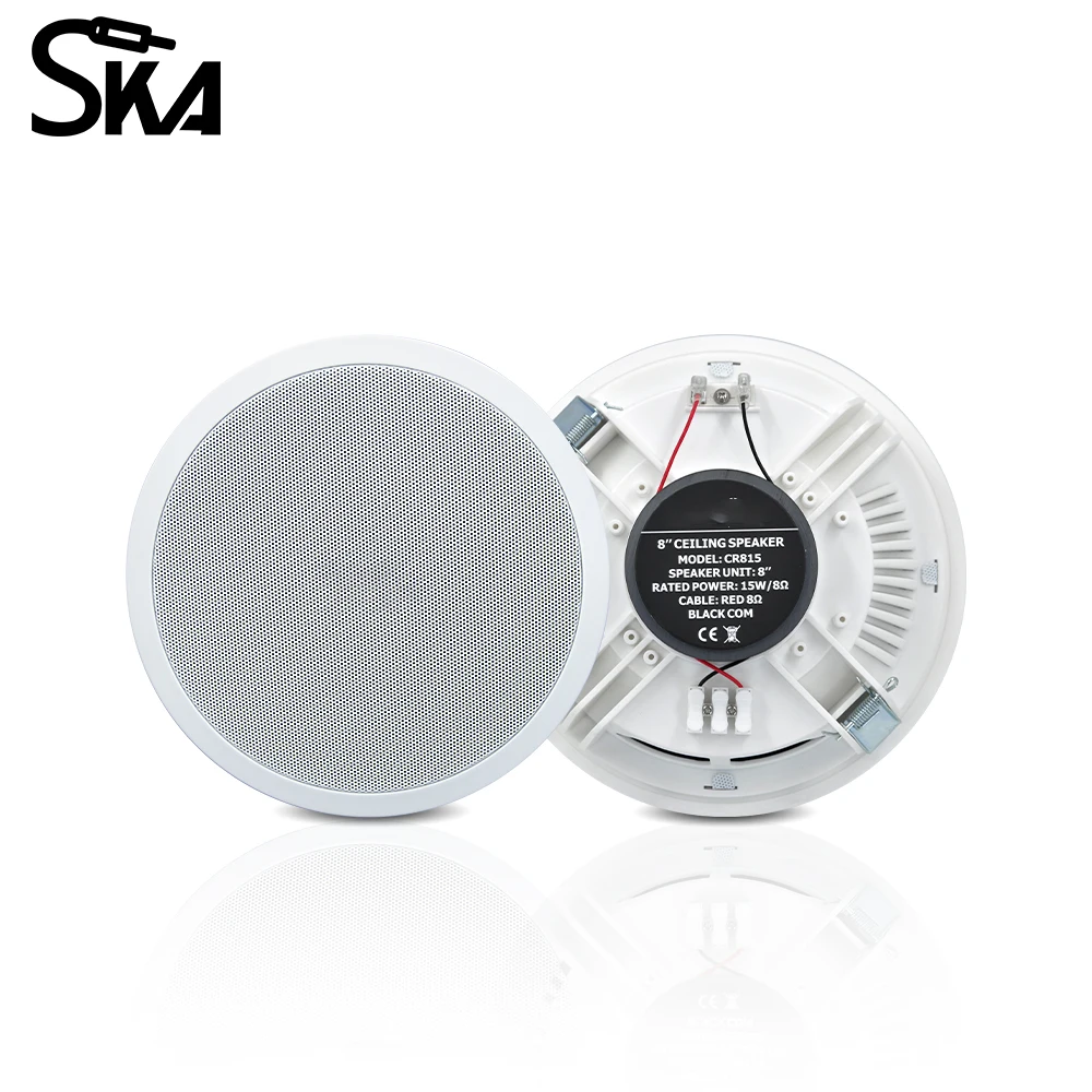 PW4420T+CR815 Akıllı Ev Ses Si - Audio Music Background incelemesi ve fiyatı