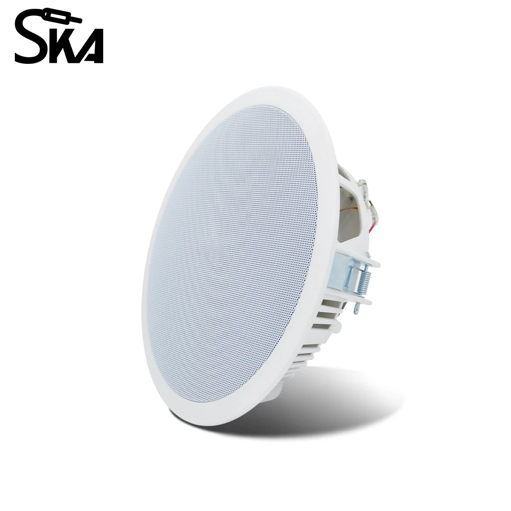 PW4420T+CR815 Akıllı Ev Ses Si - Audio Music Background incelemesi ve fiyatı