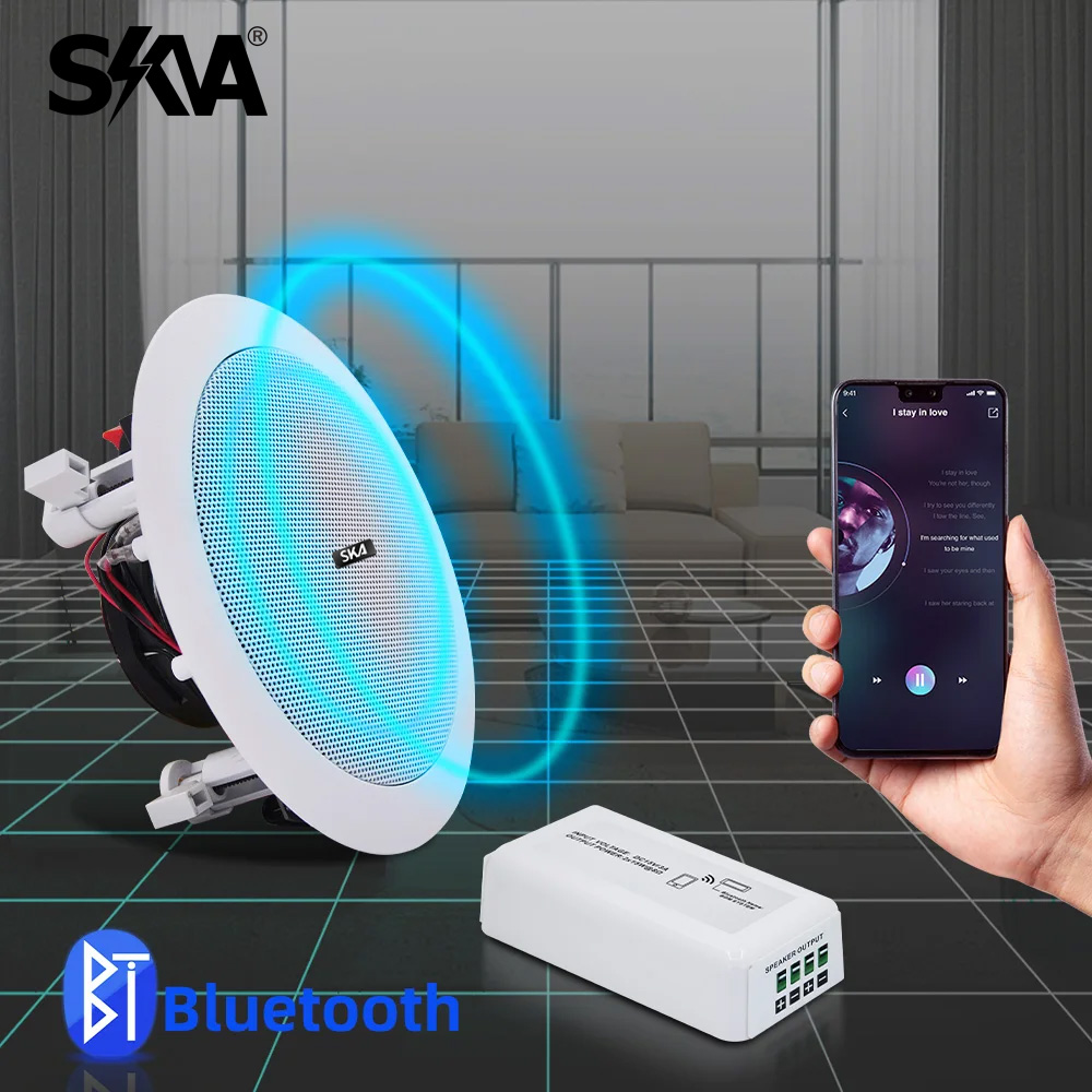 Bluetooth Amplifikatör Taşınab - Portable Amplifier Mini incelemesi ve fiyatı