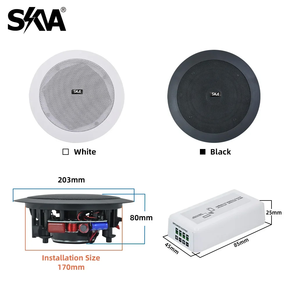 Bluetooth Amplifikatör Taşınab - Portable Amplifier Mini incelemesi ve fiyatı